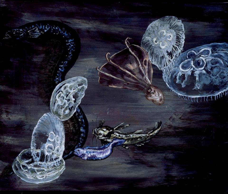 Vieques IV, 2012,Öl auf Leinwand,80 x 80 cm