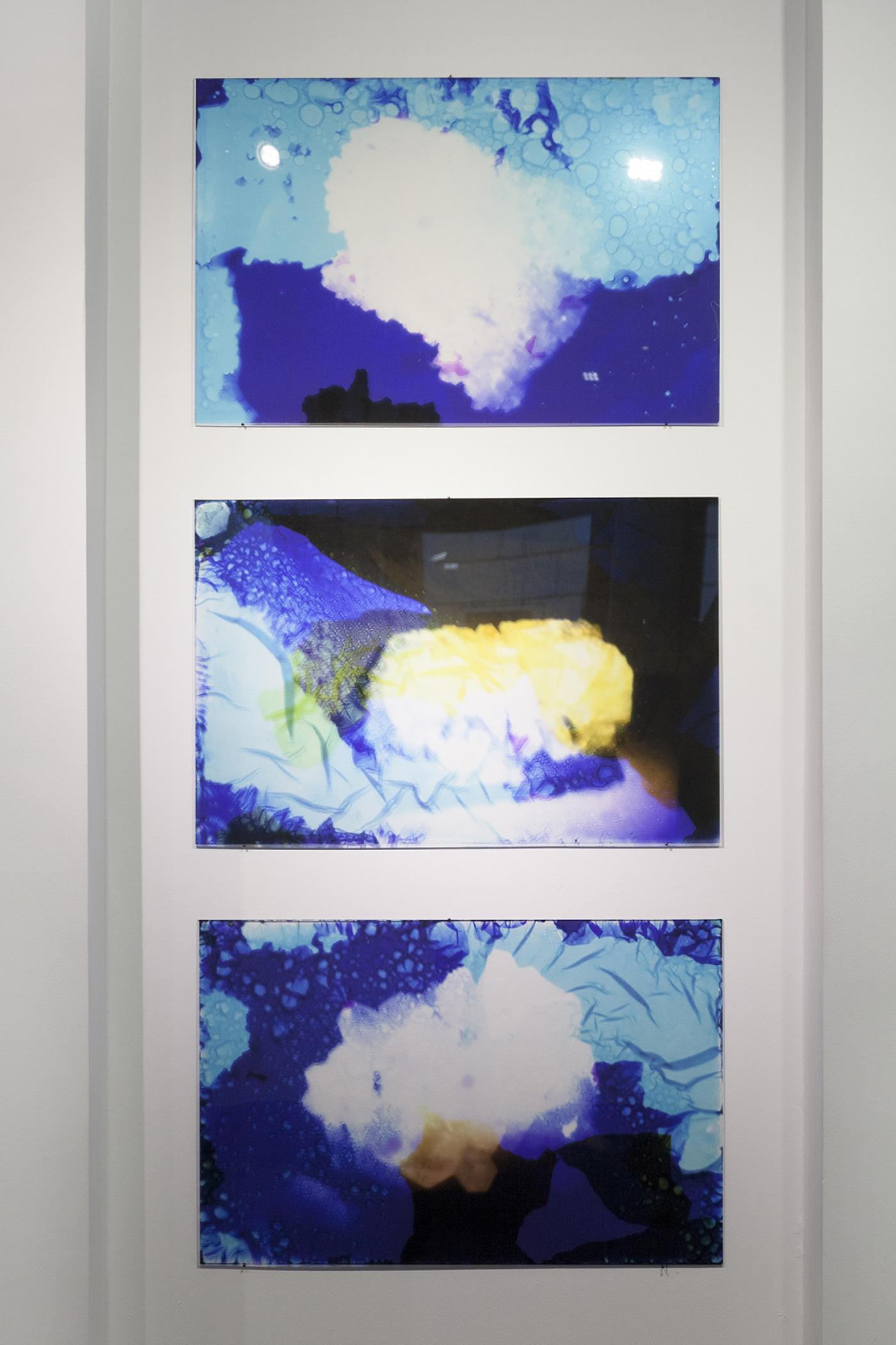 2020 Sara Foerster lost memories 02