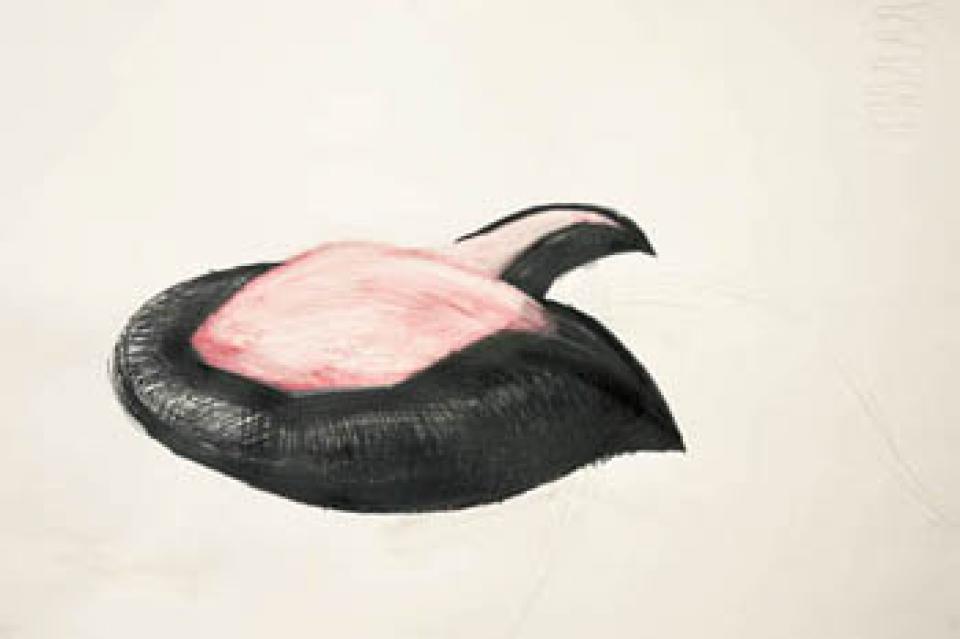  Zeichnungen  Safety First mit Rosa, 2005,Bleistift auf Papier,70 x 100 cm