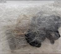 21.03.2018 koho 2018 BS