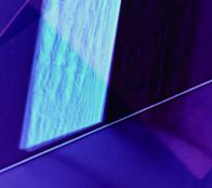 Sara Forster Lichtbild Einladung